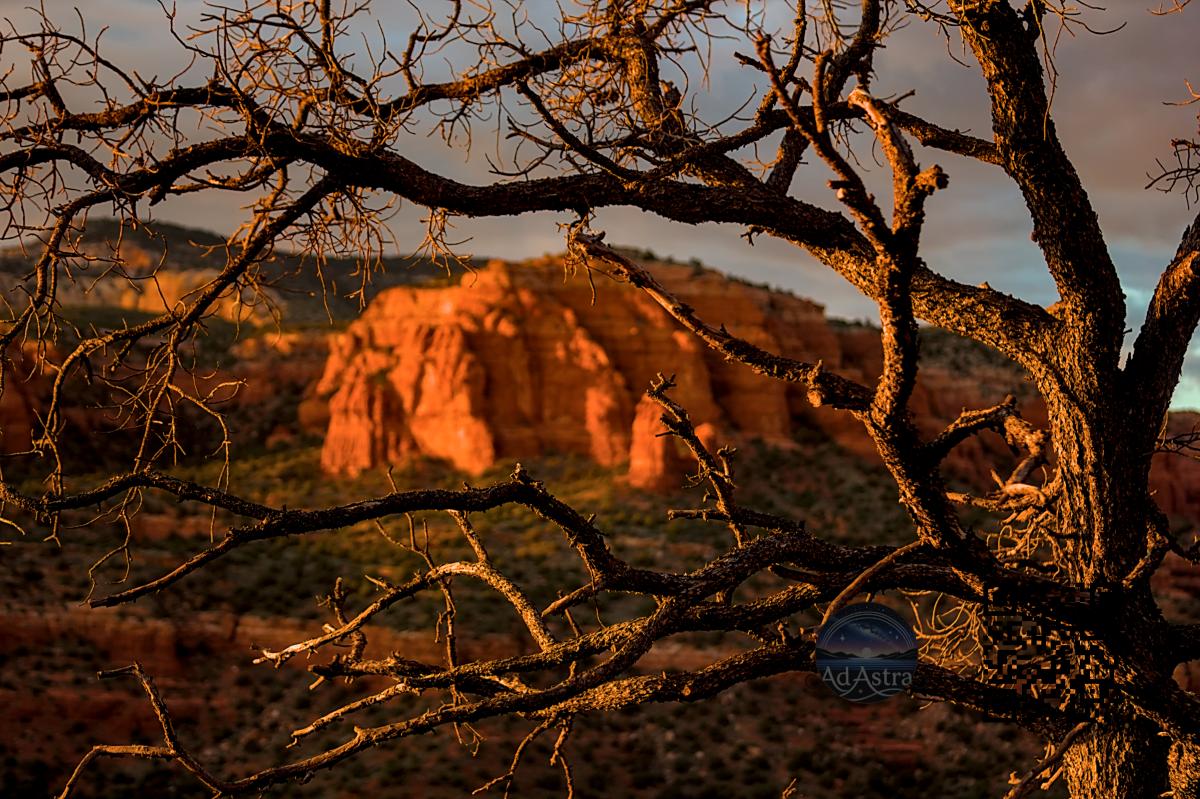 Ember Veins of the Desert